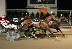 Fred Brown Photography - 2008 Dr. Harry M. Zweig Memorial Trot division (CLICK TO VIEW)